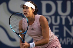 关于穆古鲁扎爆冷击败掘金，精彩发挥引爆全场！的信息